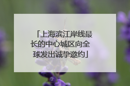 上海滨江岸线最长的中心城区向全球发出诚挚邀约