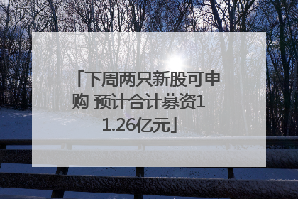 下周两只新股可申购 预计合计募资11.26亿元