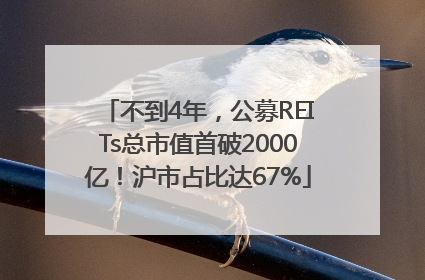 不到4年，公募REITs总市值首破2000亿！沪市占比达67%