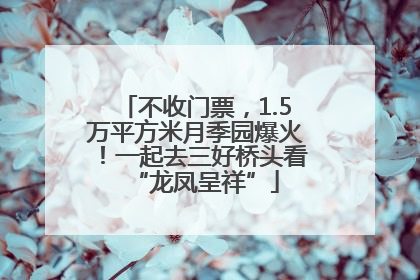 不收门票，1.5万平方米月季园爆火！一起去三好桥头看“龙凤呈祥”