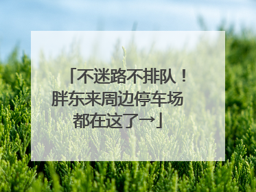 不迷路不排队！胖东来周边停车场都在这了→