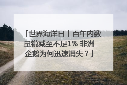 世界海洋日丨百年内数量锐减至不足1% 非洲企鹅为何迅速消失？