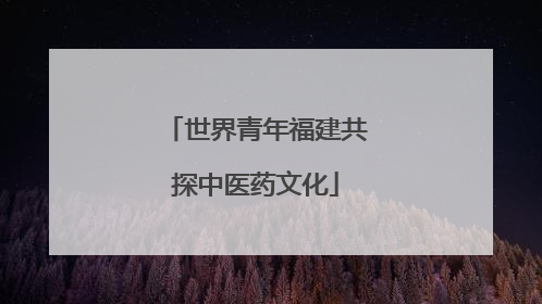 世界青年福建共探中医药文化