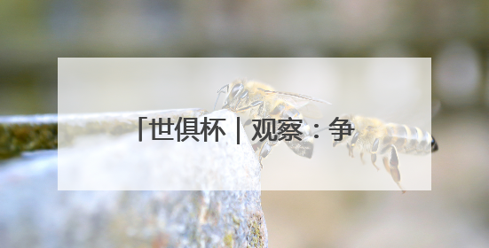 世俱杯｜观察：争议与新意，国际足联能否再造世界杯？