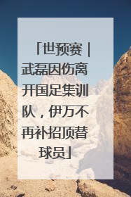 世预赛｜武磊因伤离开国足集训队，伊万不再补招顶替球员
