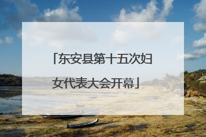 东安县第十五次妇女代表大会开幕