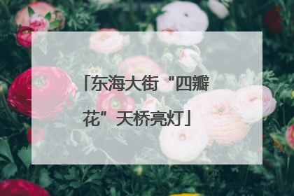 东海大街“四瓣花”天桥亮灯
