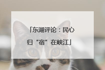 东湖评论：民心归“宿”在峡江