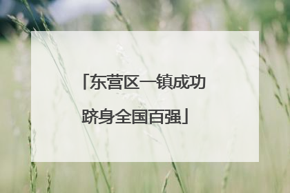 东营区一镇成功跻身全国百强