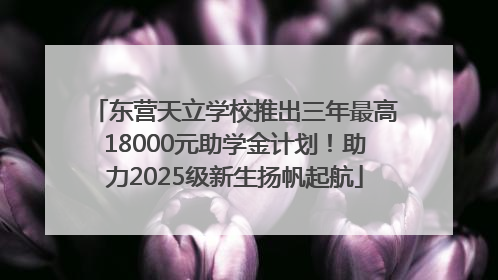 东营天立学校推出三年最高18000元助学金计划！助力2025级新生扬帆起航