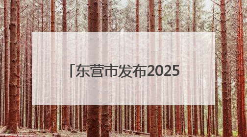 东营市发布2025年初中后职业教育招生新政 9552个学位助力多元成才