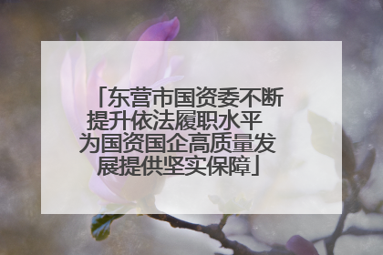 东营市国资委不断提升依法履职水平 为国资国企高质量发展提供坚实保障