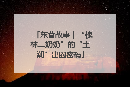 东营故事｜“槐林二奶奶”的“土潮”出圈密码