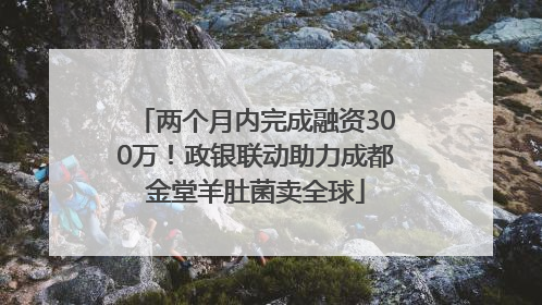 两个月内完成融资300万！政银联动助力成都金堂羊肚菌卖全球