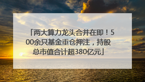 两大算力龙头合并在即！500余只基金重仓押注，持股总市值合计超380亿元