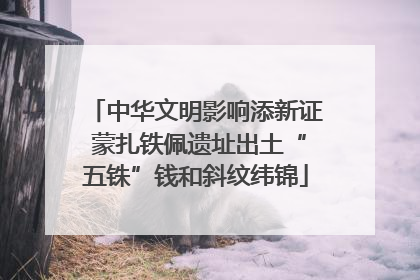 中华文明影响添新证 蒙扎铁佩遗址出土“五铢”钱和斜纹纬锦