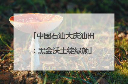 中国石油大庆油田：黑金沃土绽绿颜
