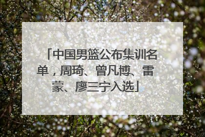 中国男篮公布集训名单，周琦、曾凡博、雷蒙、廖三宁入选