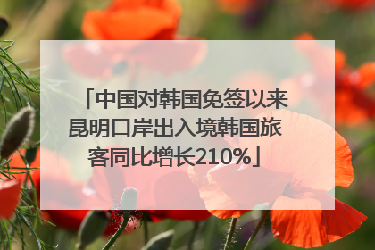 中国对韩国免签以来昆明口岸出入境韩国旅客同比增长210%