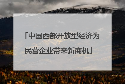 中国西部开放型经济为民营企业带来新商机