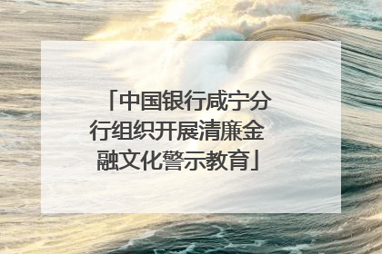 中国银行咸宁分行组织开展清廉金融文化警示教育