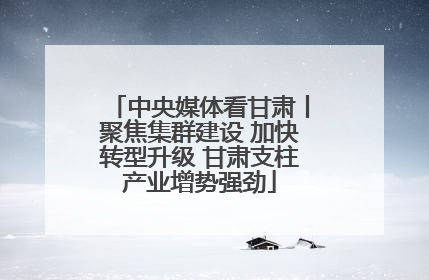 中央媒体看甘肃丨聚焦集群建设 加快转型升级 甘肃支柱产业增势强劲
