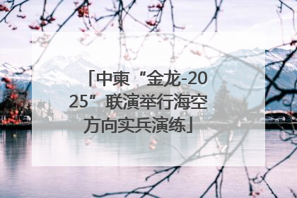中柬“金龙-2025”联演举行海空方向实兵演练
