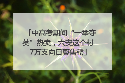 中高考期间“一举夺葵”热卖，六安这个村7万支向日葵售罄