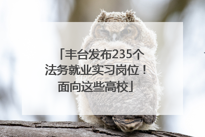 丰台发布235个法务就业实习岗位！面向这些高校