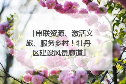 串联资源、激活文旅、服务乡村！牡丹区建设风景廊道