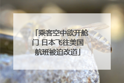 乘客空中欲开舱门 日本飞往美国航班被迫改道