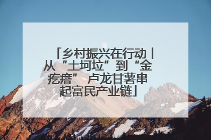 乡村振兴在行动丨从“土坷垃”到“金疙瘩” 卢龙甘薯串起富民产业链