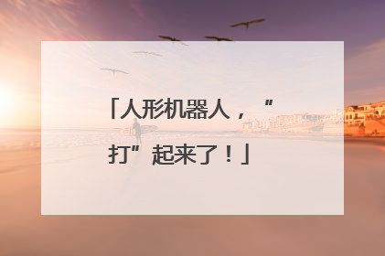 人形机器人，“打”起来了！