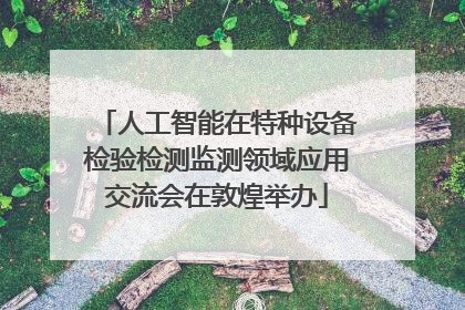 人工智能在特种设备检验检测监测领域应用交流会在敦煌举办