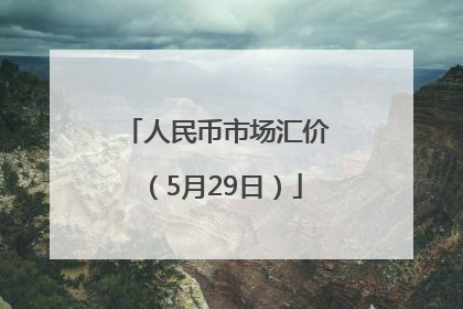 人民币市场汇价（5月29日）