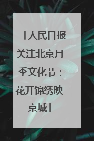 人民日报关注北京月季文化节：花开锦绣映京城