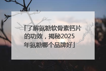 了解氨糖软骨素钙片的功效，揭秘2025年氨糖哪个品牌好