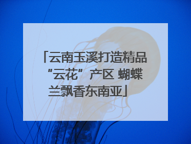 云南玉溪打造精品“云花”产区 蝴蝶兰飘香东南亚