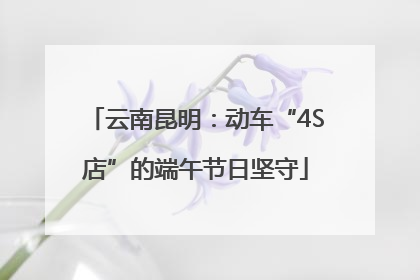 云南昆明：动车“4S店”的端午节日坚守