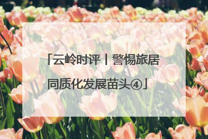 云岭时评丨警惕旅居同质化发展苗头④