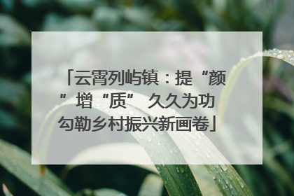 云霄列屿镇：提“颜”增“质” 久久为功勾勒乡村振兴新画卷