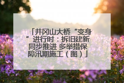 井冈山大桥“变身”进行时：拆旧建新同步推进 多举措保障汛期施工（图）