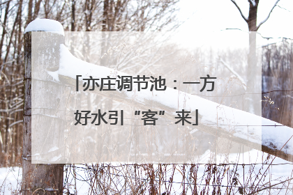 亦庄调节池：一方好水引“客”来