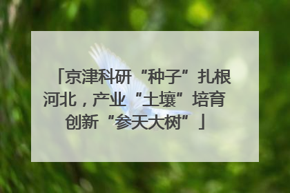 京津科研“种子”扎根河北，产业“土壤”培育创新“参天大树”