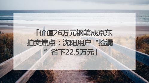 价值26万元钢笔成京东拍卖焦点：沈阳用户“捡漏”省下22.5万元
