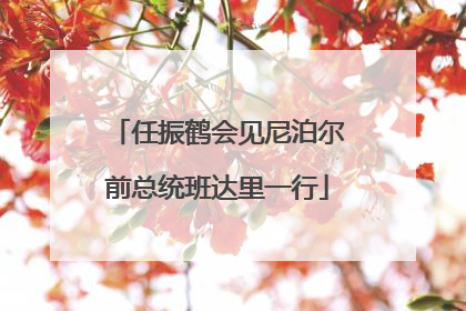 任振鹤会见尼泊尔前总统班达里一行