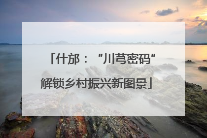 什邡：“川芎密码”解锁乡村振兴新图景