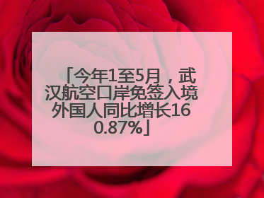 今年1至5月，武汉航空口岸免签入境外国人同比增长160.87%