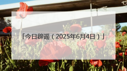 今日辟谣（2025年6月4日）