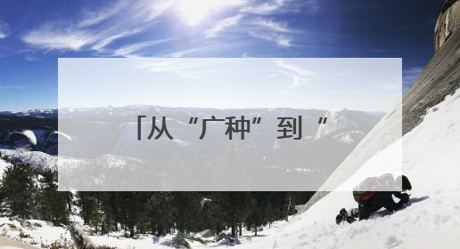 从“广种”到“细管” 关岭枇杷产业的跃升之路